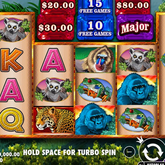 Congo Cash